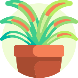 Spider plant icon