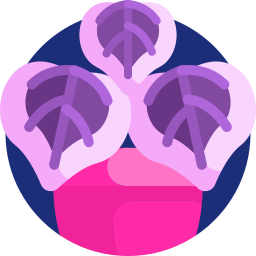Begonia icono