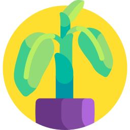 Banana plant icon