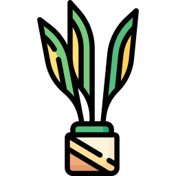 Snake plant icon