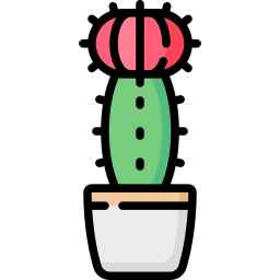 kaktus księżycowy ikona