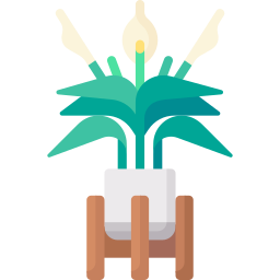 Peace lily icon