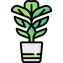 Fiddle fig icon