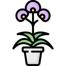 orquídea icono