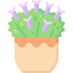 lavendel icon