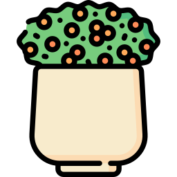 koralik koralowy ikona