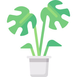 monstera deliciosa icono