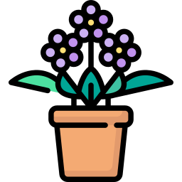 African violet icon