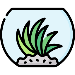roślina powietrzna ikona
