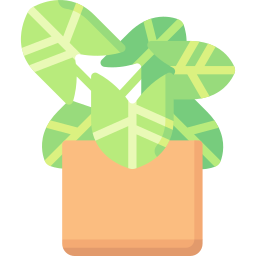 Arrowhead plant icon