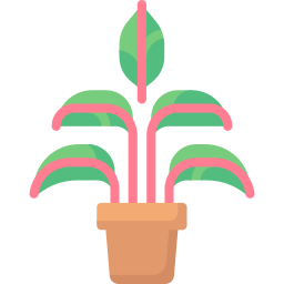 Aglaonema icon