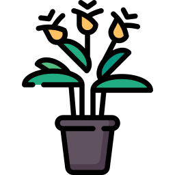 Eternal flame plant icon