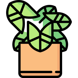 pfeilspitzenpflanze icon