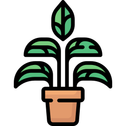 Aglaonema icon