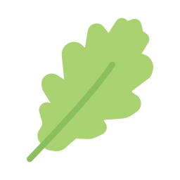 Leaf icon