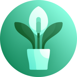 Peace lily icon