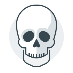 Skull icon