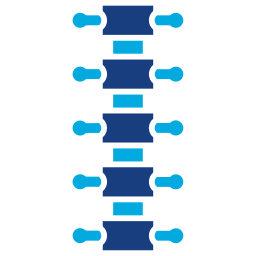 coluna dorsal Ícone