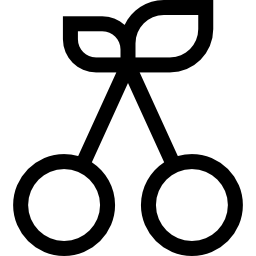 체리 icon