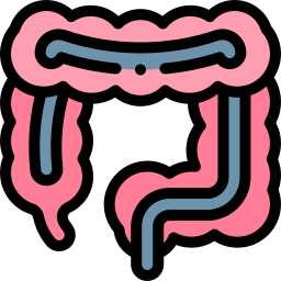 結腸内視鏡検査 icon
