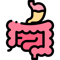 Пищеварительная система иконка