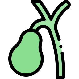 vesícula biliar icono