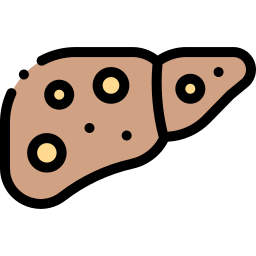 Liver icon