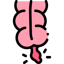 appendicite icona
