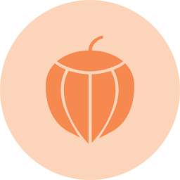 Hazelnut icon