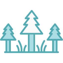 Pine icon