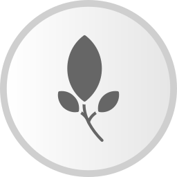 Leaf icon