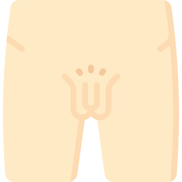 genitalia ikona