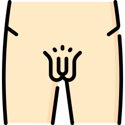 genitali icona