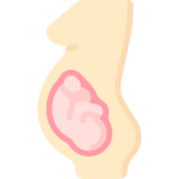 fœtus Icône