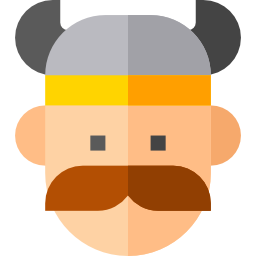 Viking icon