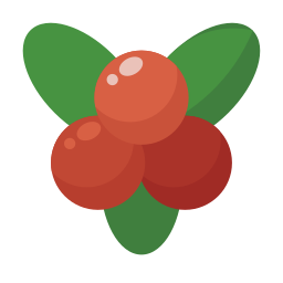 Cranberry icon