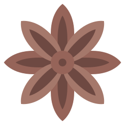 Anise icon