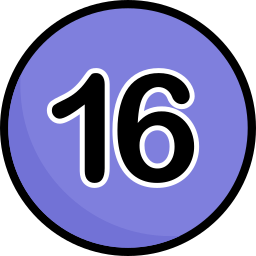 16 icon