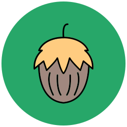 haselnuss icon