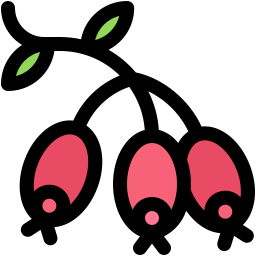 beeren icon