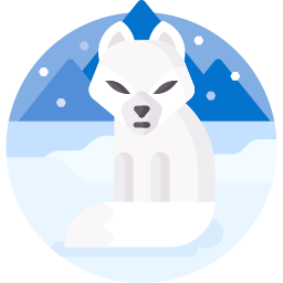 Арктическая лиса иконка