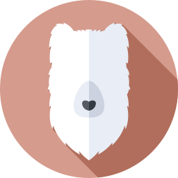 le renard arctique Icône