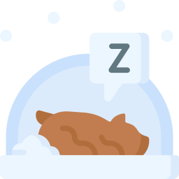 hibernar icono