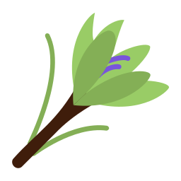 Crocus icon