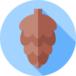 Pine nut icon