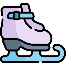 Ice Skate icon