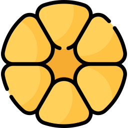 黄体 icon