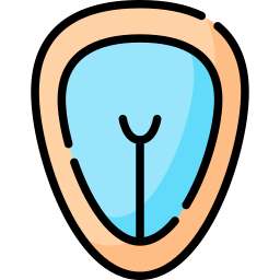 신경관 icon