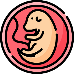 embrião Ícone