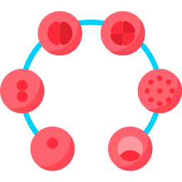 embryo icoon